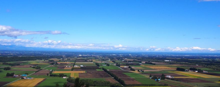 Shin Arashiyama Sky Park Observatory