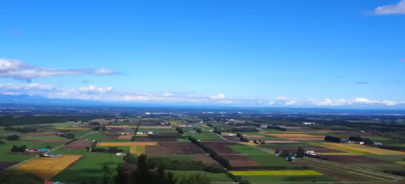 芽室町のホテル