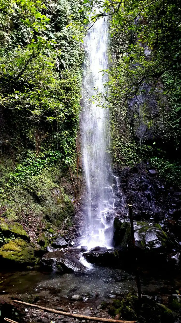 Hotel di Kuranji Hulu