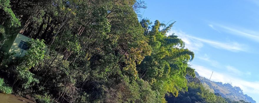 Mini Zoológico Ilha de São Pedro