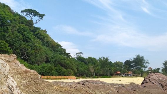 Pantai Teluk Bidara
