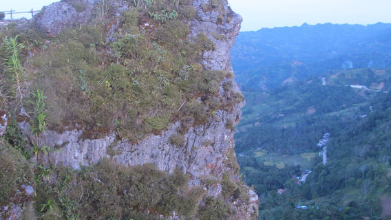 Dalaguete