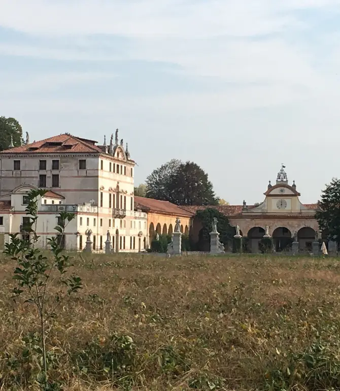Rosà