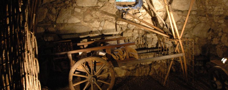M.A.S - Museo delle Arti e dei Saperi