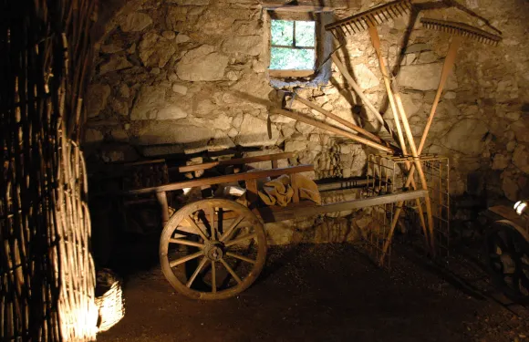 費德拉帕加內拉