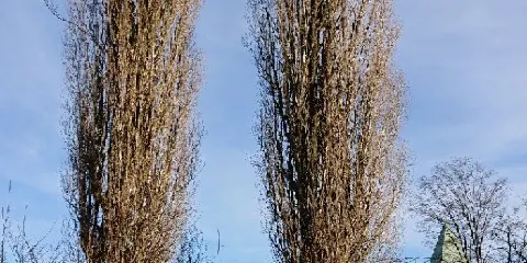 Museum Abtei Liesborn des Kreises