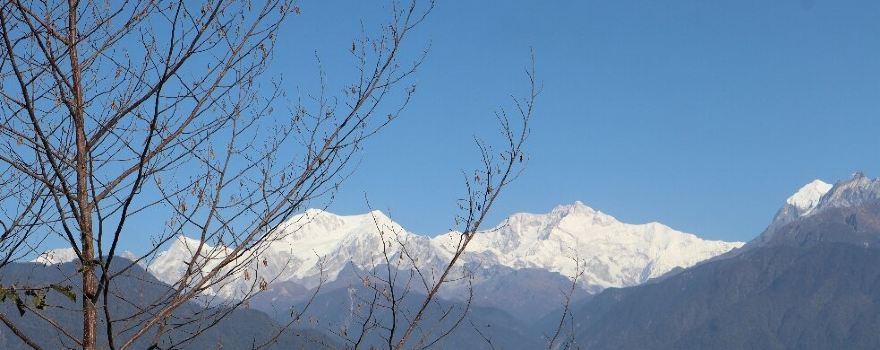 Sky Walk Pelling Sikkim
