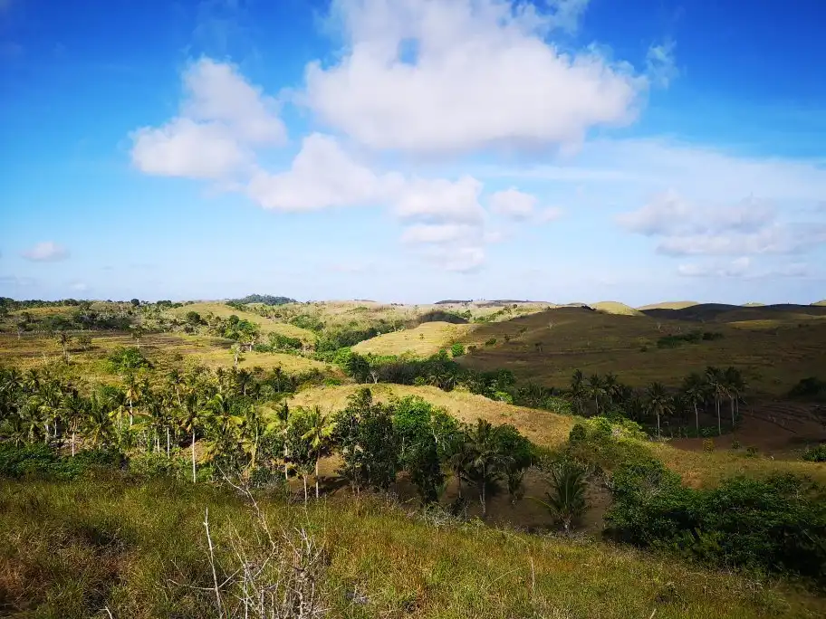 Hotels near Teletubbies Hill