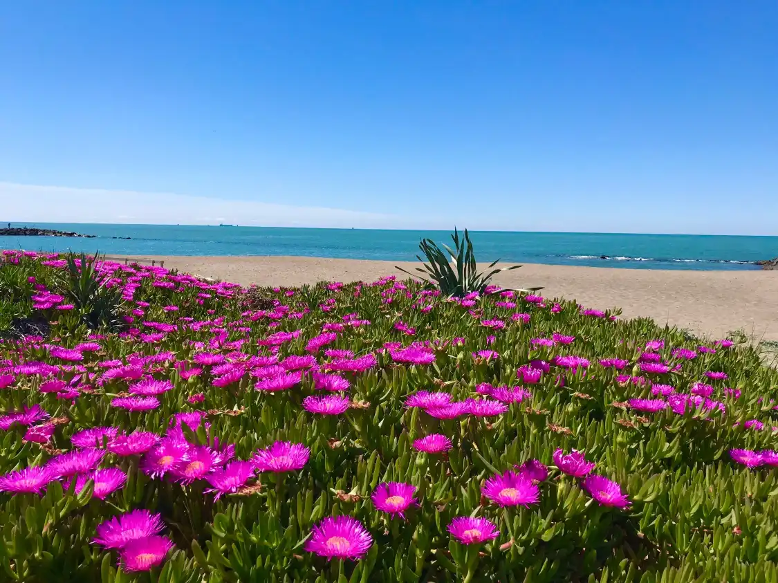 Hotel in zona Spiaggia Coccia di Morto
