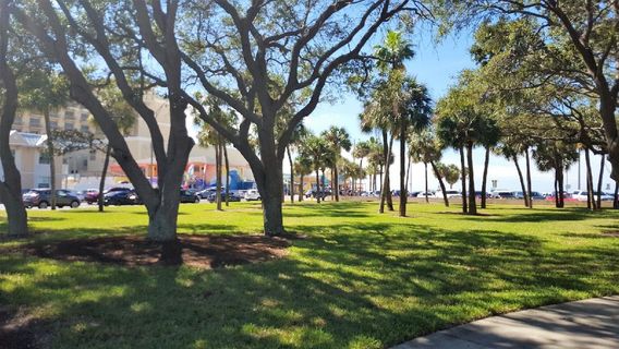 Clearwater