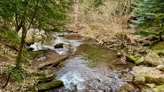 St Fergus's Well