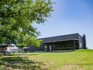 7 Creeks Vineyard