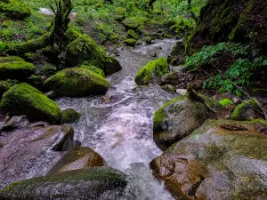 ウォーターフォール