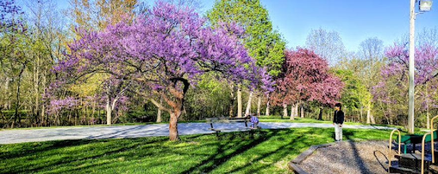 Chautauqua Park