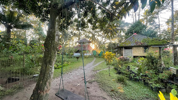 Black Monkey Go Green