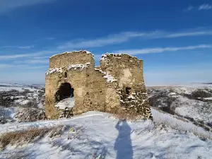 Zhvanets' Castle