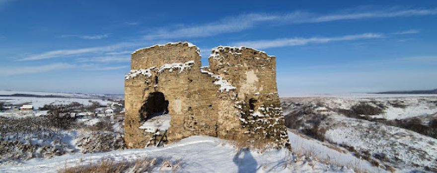 Zhvanets' Castle