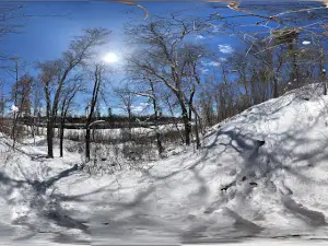 Old Logging Trail Campground