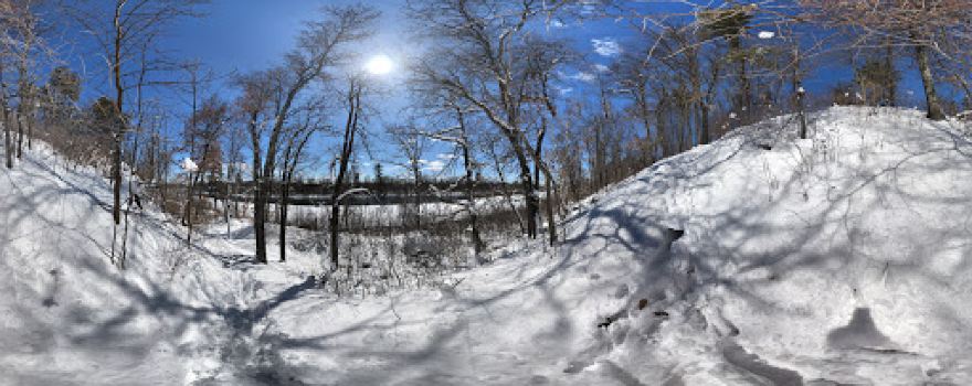 Old Logging Trail Campground