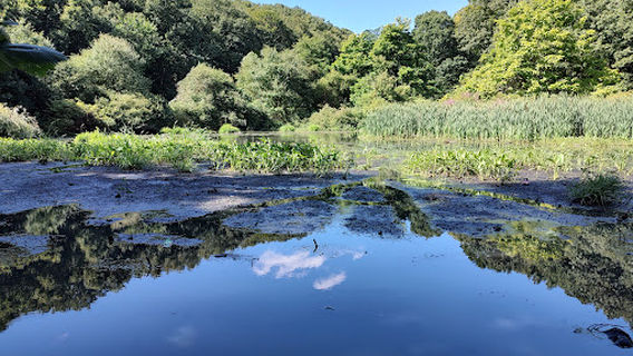 Blackstone Park Conservation District