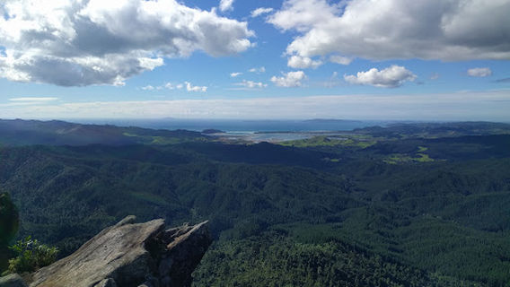Waiau