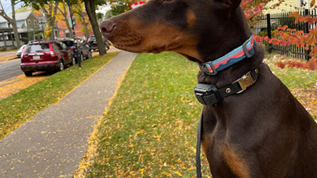 RMSC Public Access Park