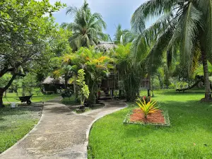 Community Baboon Sanctuary Visitor Center and Museum (A Black Howler Monkey Sanctuary)