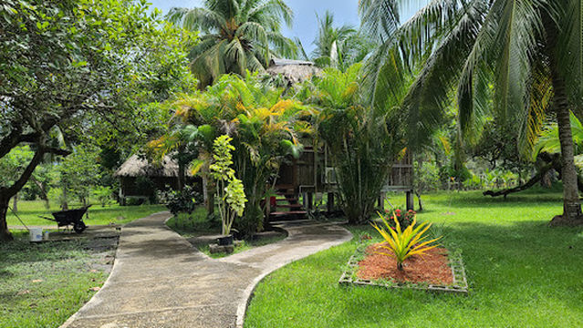 Community Baboon Sanctuary Visitor Center and Museum (A Black Howler Monkey Sanctuary)