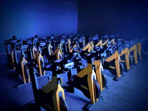 Wellness Studio Sverige AB