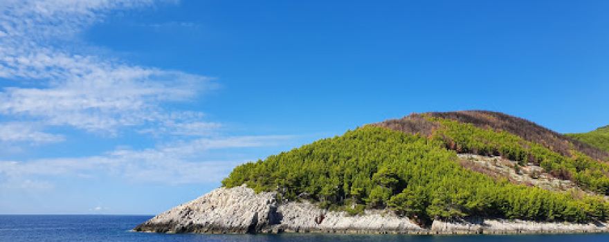 beach Orlanduša
