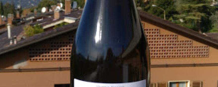 Cantina Riccioni