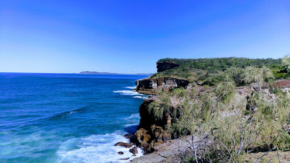 Whale Watching Vantage Point