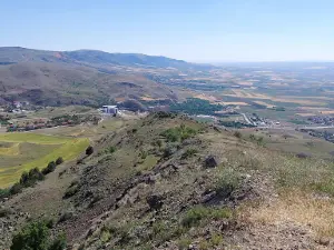 Hayati GÜRTAN Hatıra Ormanı