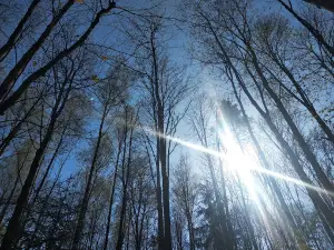 Žilina forest park