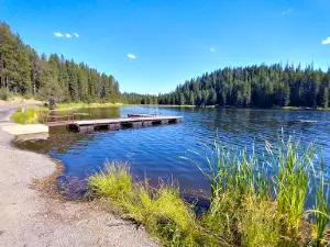 Moose Creek Campground