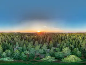 Strėvos įgriuva