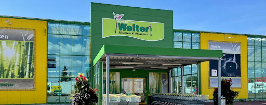 Welter flowers and plants