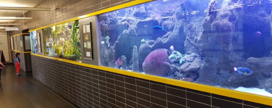 Aquarium ADP Orly