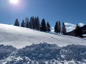 Holzmeisterlift Sommeralm