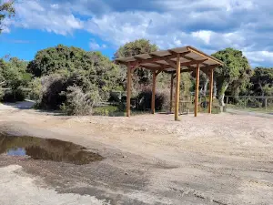 Alexander Bay Camping Area