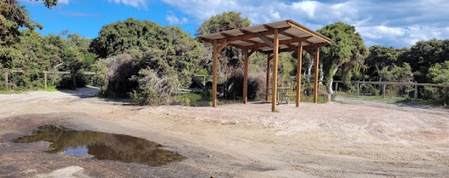 Alexander Bay Camping Area