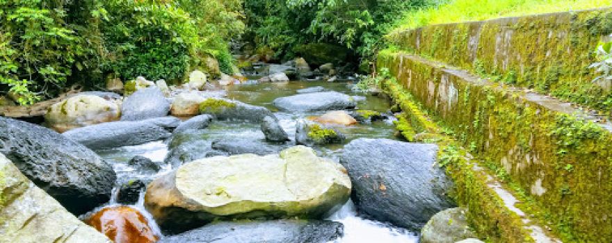 Río Guane