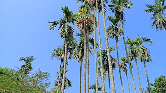 Fulbari Gate Bazar Masjid