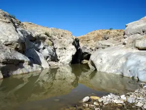 Birkat Tzfira
