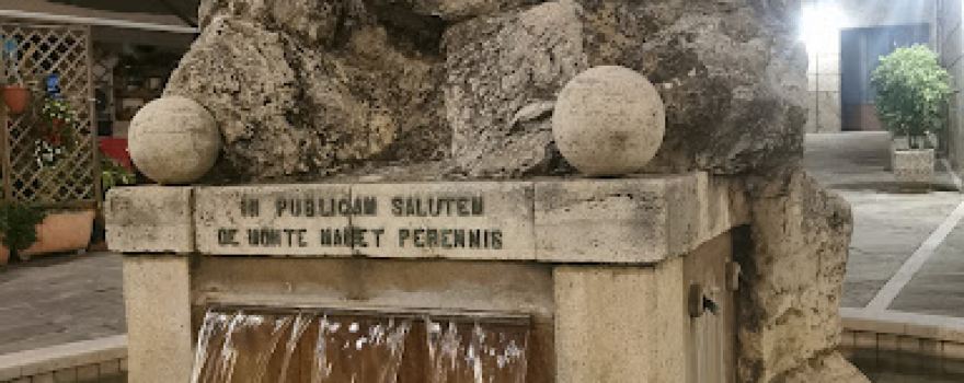 Fontana Del Leone
