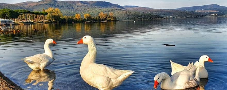 Lake Bracciano