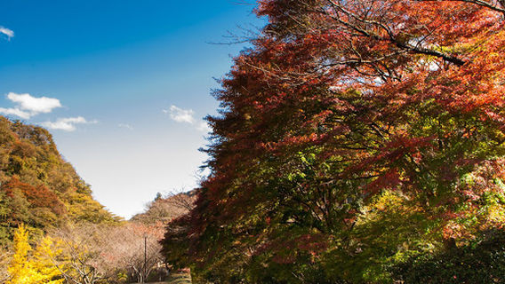 たかはぎキャンピングパーク Takahagi Camping Park