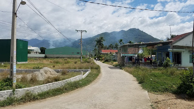 Each type of snake farm FLOWERS