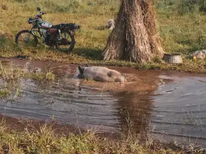 Lake Volta