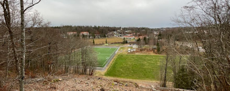 Møylandsletta Gress / Andebu I.L.